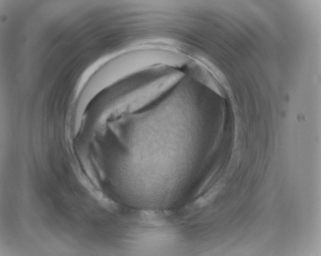 X0000083040960200702231926