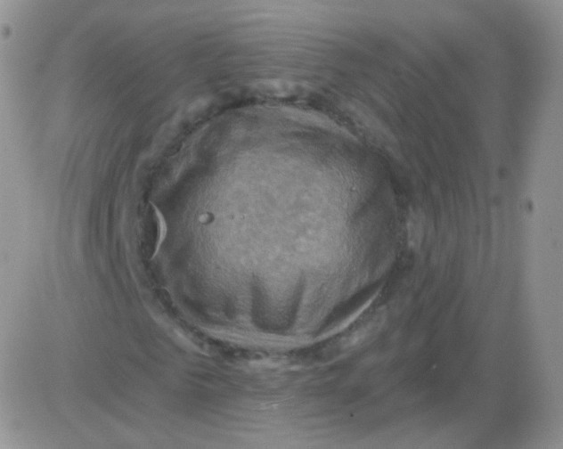 X0000083040961200702231925