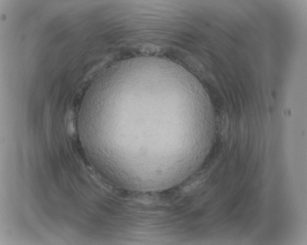 X0000083040962200702231925