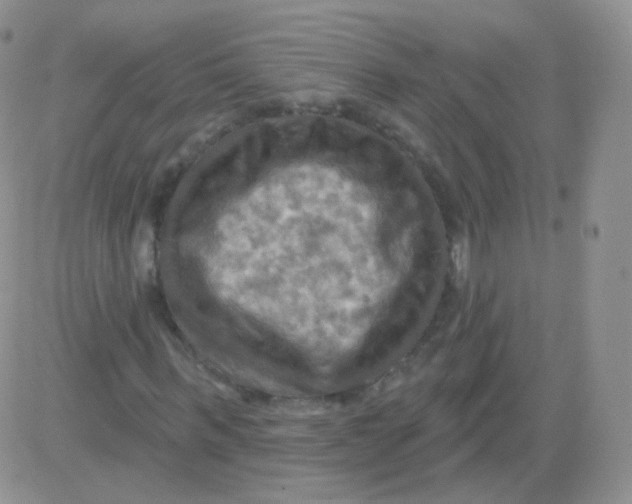 X0000083040963200702231925