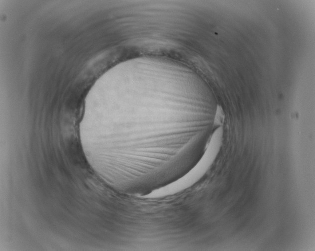 X0000083040964200702231925