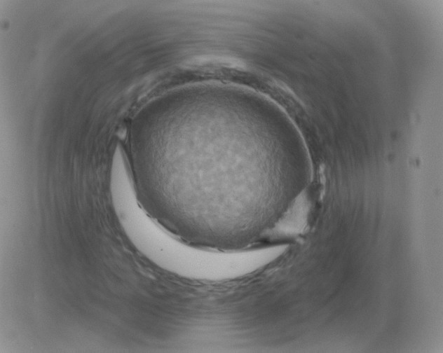 X0000083040965200702231925