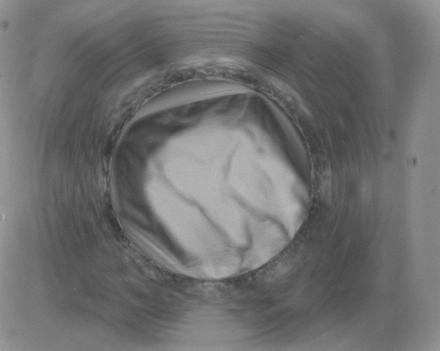 X0000083040966200702231925