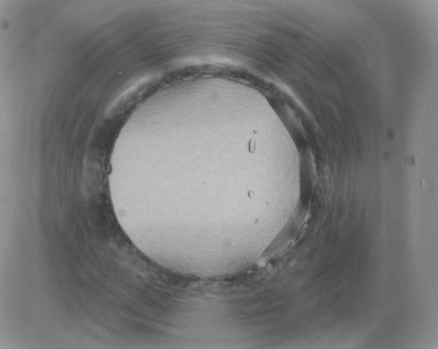 X0000083040967200702231925