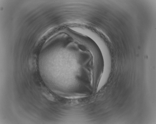 X0000083040968200702231925