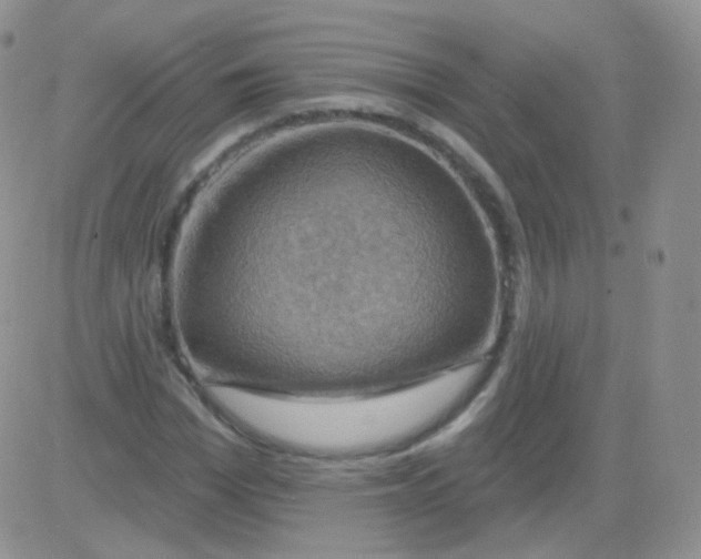 X0000083040969200702231925