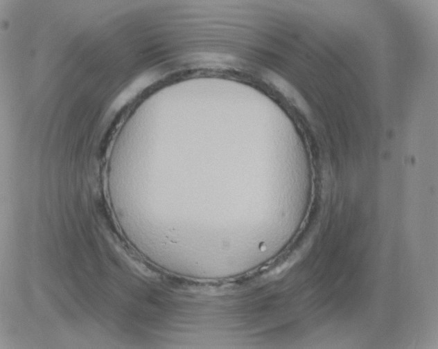 X0000083040970200702231925