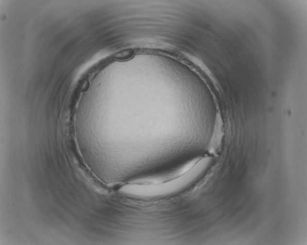 X0000083040971200702231925