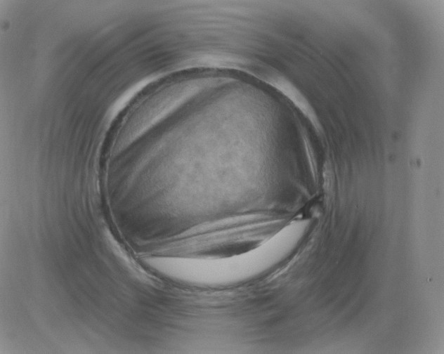 X0000083040972200702231925