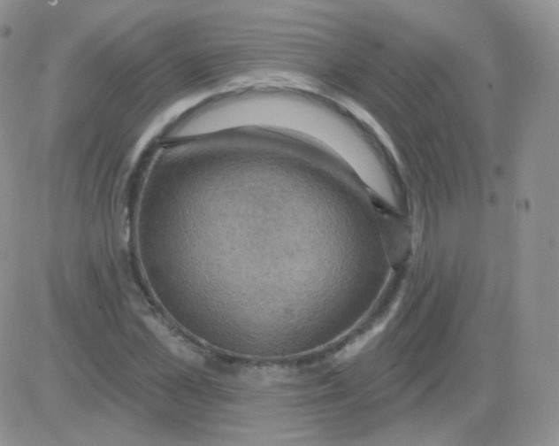 X0000083040973200702231925