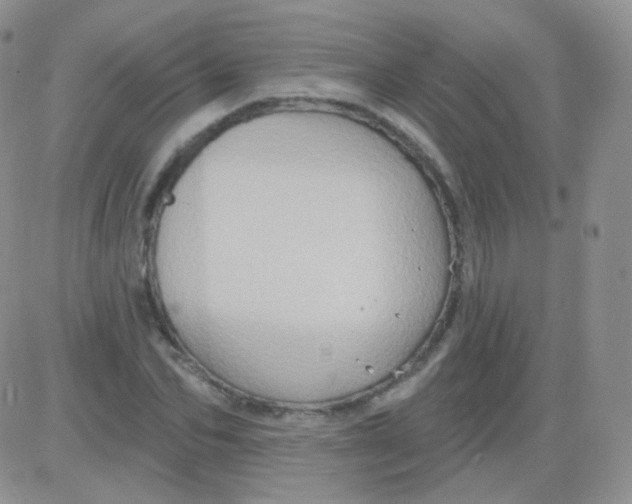 X0000083040974200702231925