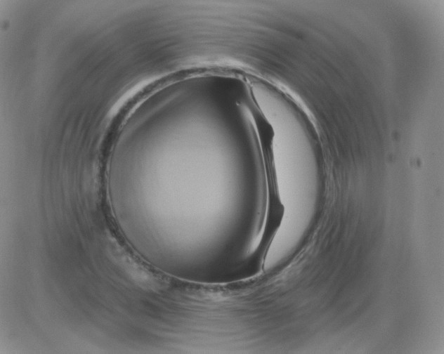 X0000083040975200702231925