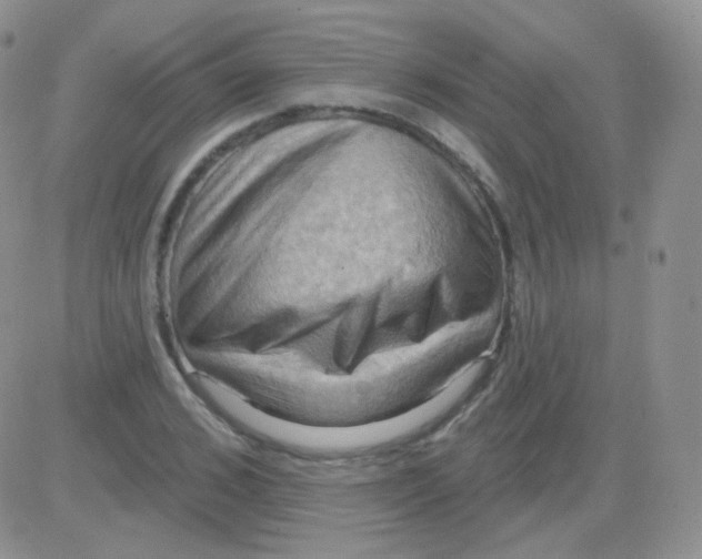 X0000083040976200702231925