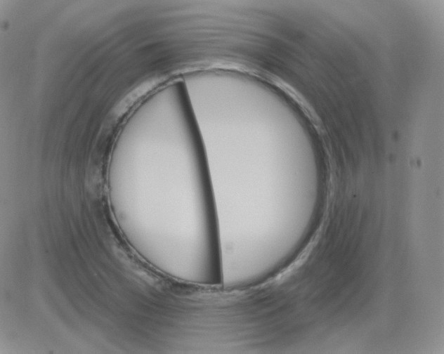 X0000083040977200702231925