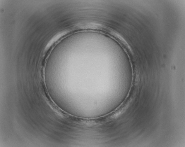 X0000083040978200702231925