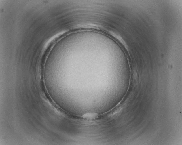 X0000083040979200702231925