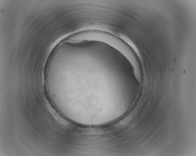 X0000083040980200702231925