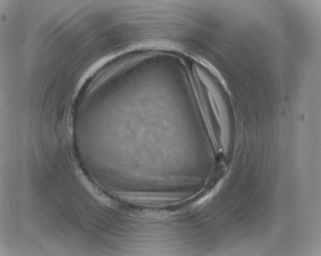 X0000083040981200702231925