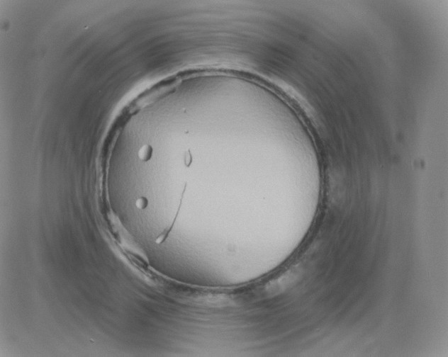 X0000083040982200702231925