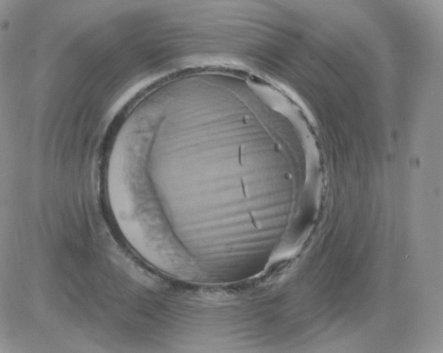 X0000083040983200702231925