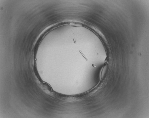 X0000083040984200702231925