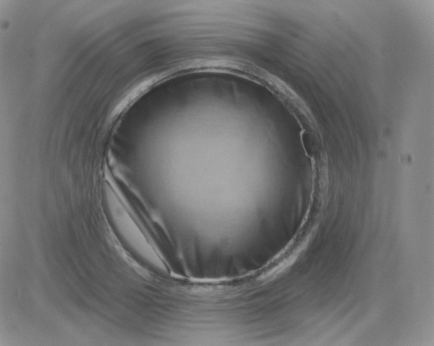 X0000083040985200702231925