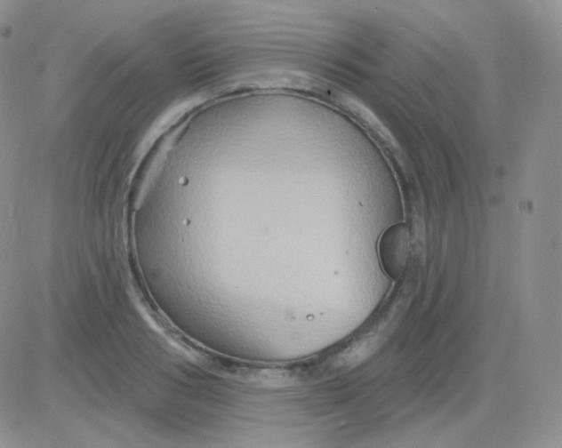 X0000083040986200702231925