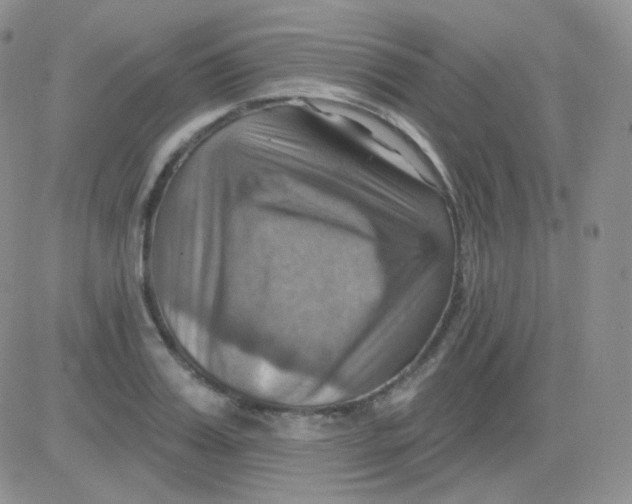 X0000083040987200702231925