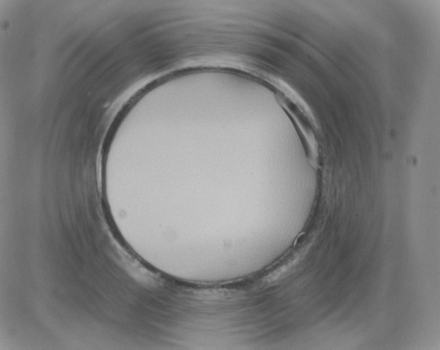 X0000083040988200702231925