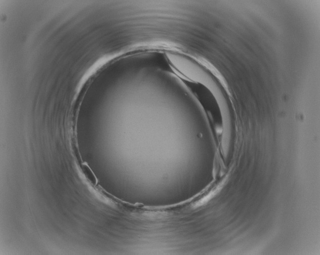 X0000083040989200702231925