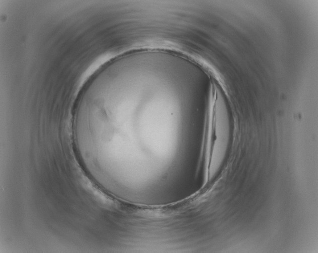 X0000083040990200702231925