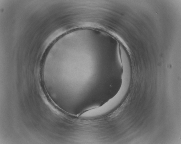 X0000083040991200702231925