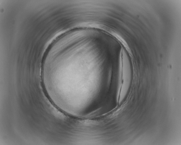 X0000083040992200702231925