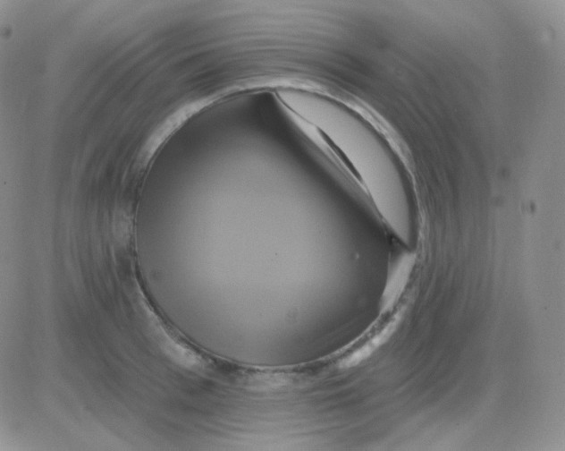 X0000083040993200702231925