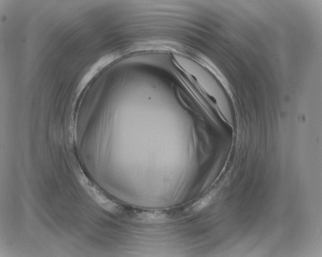 X0000083040994200702231925