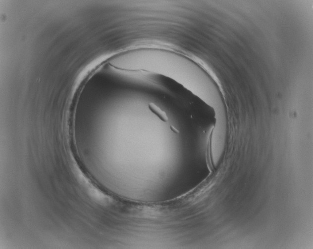 X0000083040995200702231925