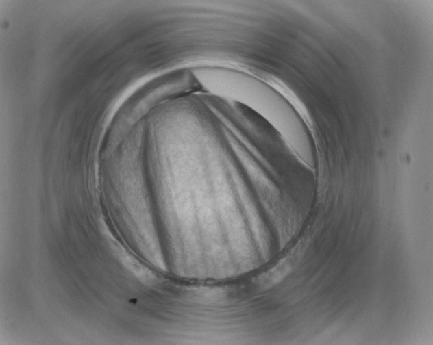X0000083040996200702231925