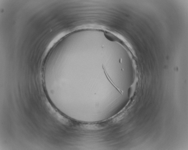 X0000083040998200702231925