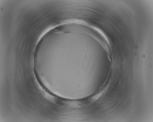 X0000083040999200702231925