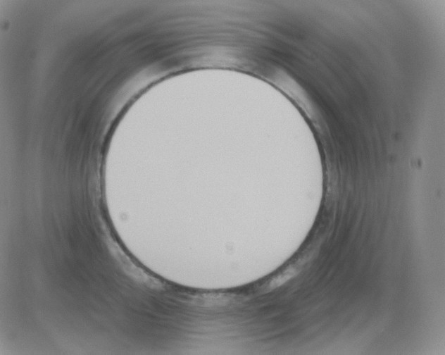 X0000083041000200702231925