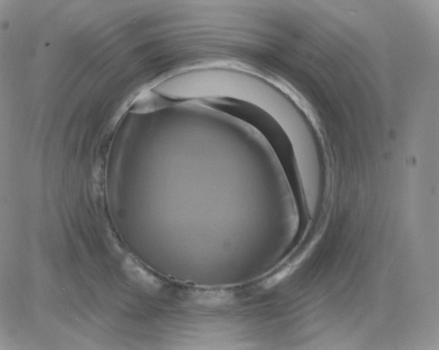 X0000083041001200702231925