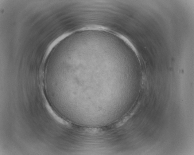 X0000083041003200702231925