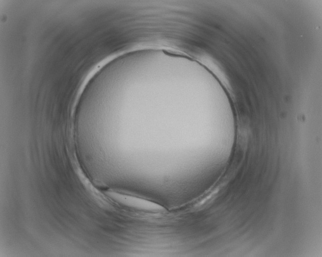 X0000083041004200702231925