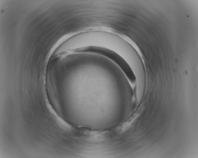 X0000083041005200702231925