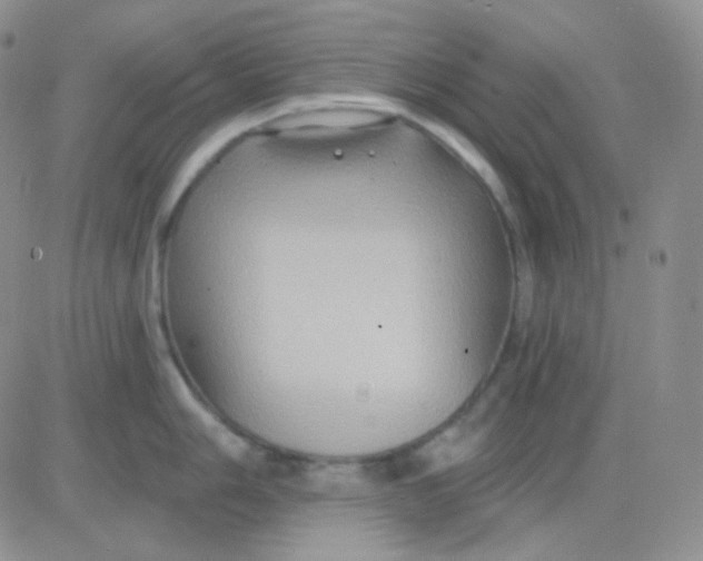 X0000083041006200702231925