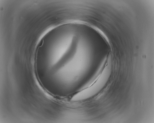 X0000083041007200702231925