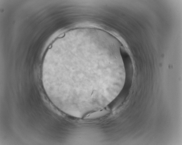 X0000083041008200702231925