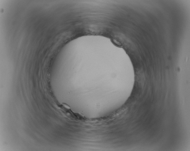 X0000083041009200702231924