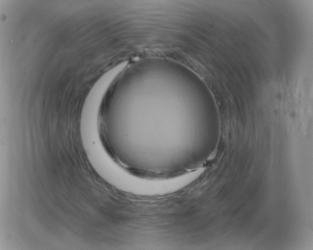 X0000083041010200702231924