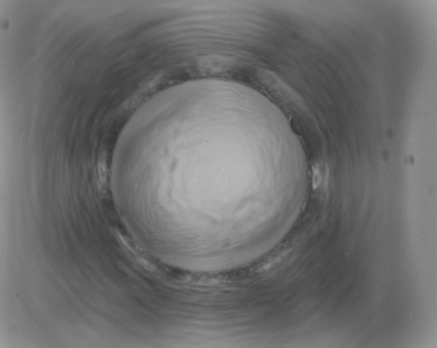 X0000083041011200702231924